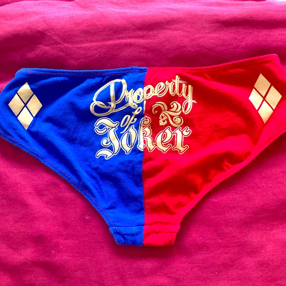 Property Of Joker Harley Quinn Panty.  Size M.